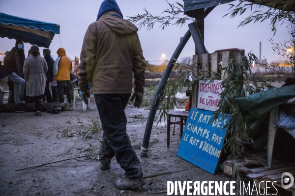 Occupation de la zad de gonesse, contre la betonnisation des terres agricoles.