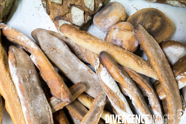 Du pain contre la faim