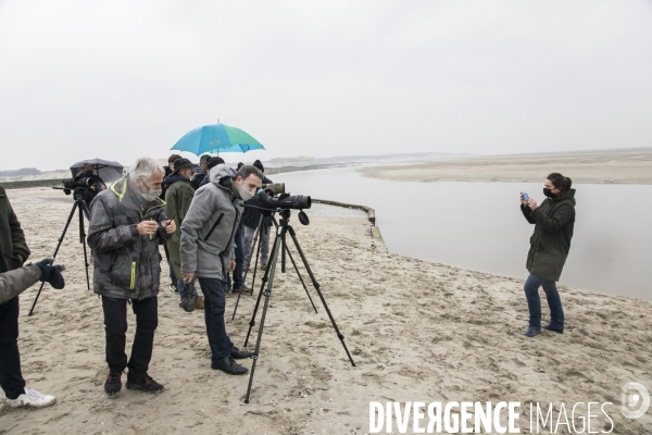 Eric Piolle et Julien Bayou à Berck