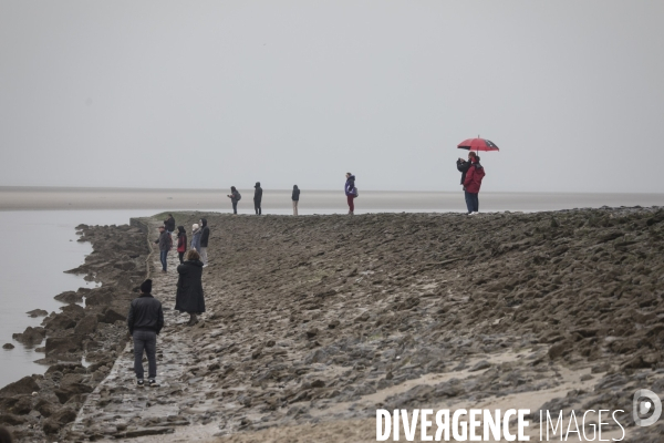 Plage de Berck