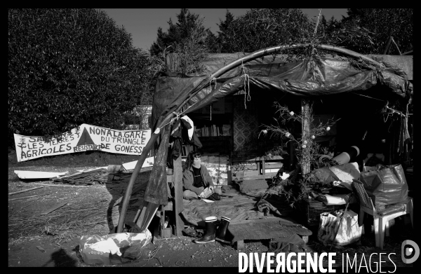 La Zad de Gonesse