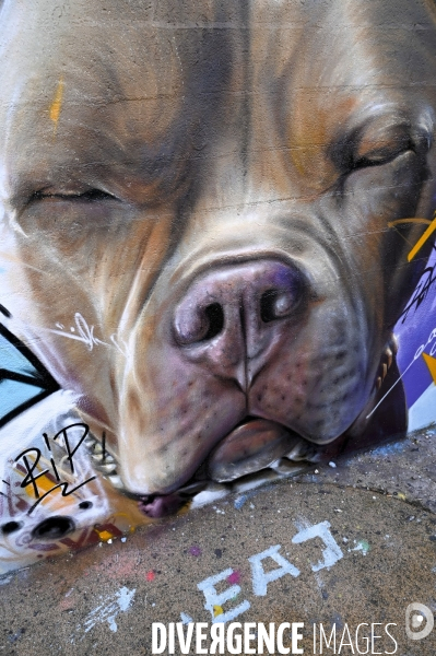 Street artiste : BATSH AEJ CP.5