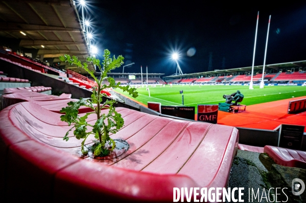 Toulouse : rugby Top14 Ernest Wallon