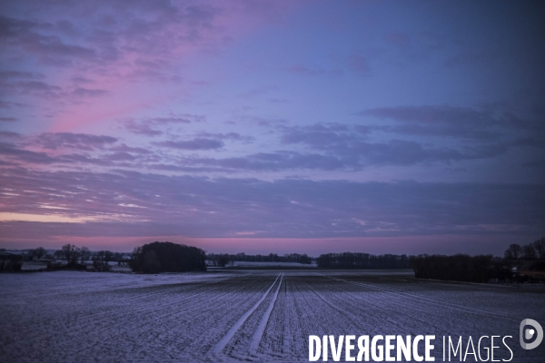 Paysage vu du train.