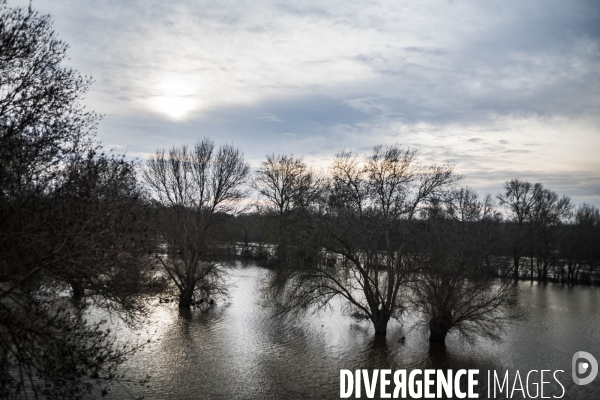 Paysage vu du train.