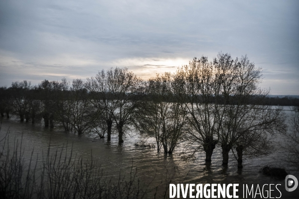 Paysage vu du train.