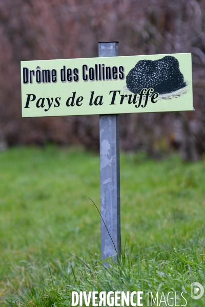 Terroir : La truffe de la Drôme des collines