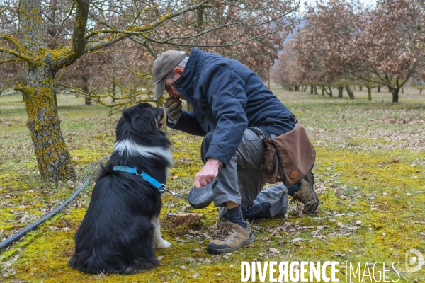 Terroir : La truffe de la Drôme des collines