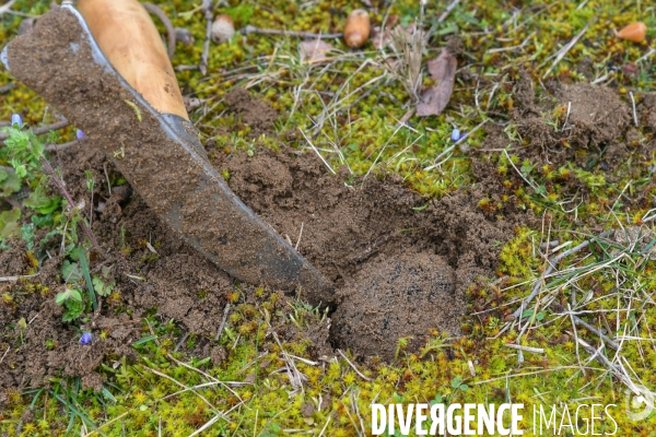 Terroir : La truffe de la Drôme des collines