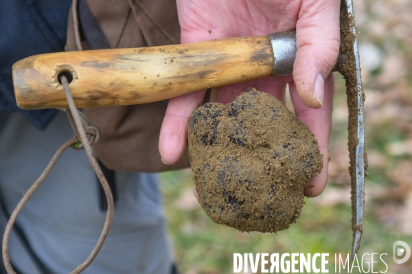 Terroir : La truffe de la Drôme des collines