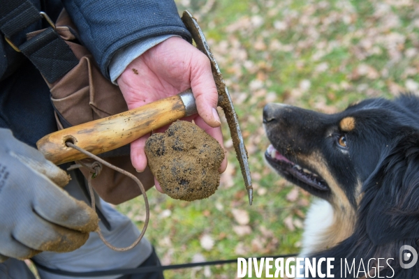 Terroir : La truffe de la Drôme des collines