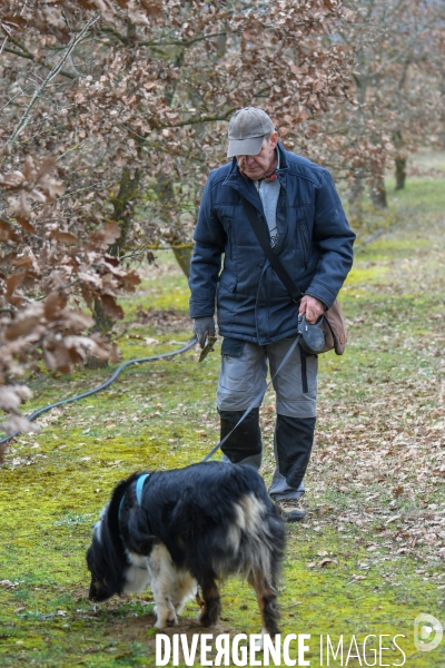 Terroir : La truffe de la Drôme des collines