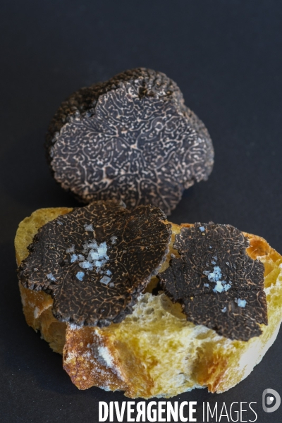 Terroir : La truffe de la Drôme des collines