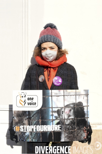 Protection Animal : action contre la fourrure et l exploitaion des animauxpour leur peau. ONE VOICE, PETA, PARTI ANIMALISTE. Animal protection, action against fur.