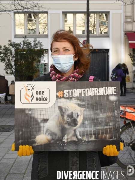 Protection Animal : action contre la fourrure et l exploitaion des animauxpour leur peau. ONE VOICE, PETA, PARTI ANIMALISTE. Animal protection, action against fur.