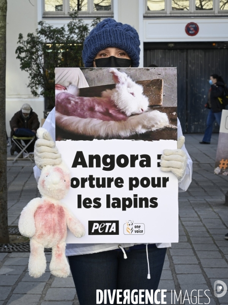 Protection Animal : action contre la fourrure et l exploitaion des animauxpour leur peau. ONE VOICE, PETA, PARTI ANIMALISTE. Animal protection, action against fur.