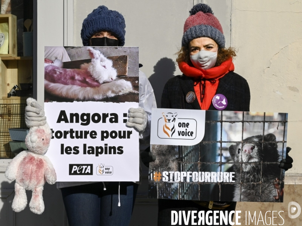 Protection Animal : action contre la fourrure et l exploitaion des animauxpour leur peau. ONE VOICE, PETA, PARTI ANIMALISTE. Animal protection, action against fur.