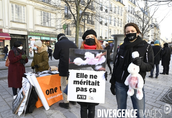 Protection Animal : action contre la fourrure et l exploitaion des animauxpour leur peau. ONE VOICE, PETA, PARTI ANIMALISTE. Animal protection, action against fur.