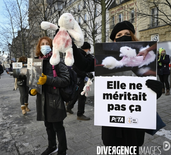 Protection Animal : action contre la fourrure et l exploitaion des animauxpour leur peau. ONE VOICE, PETA, PARTI ANIMALISTE. Animal protection, action against fur.