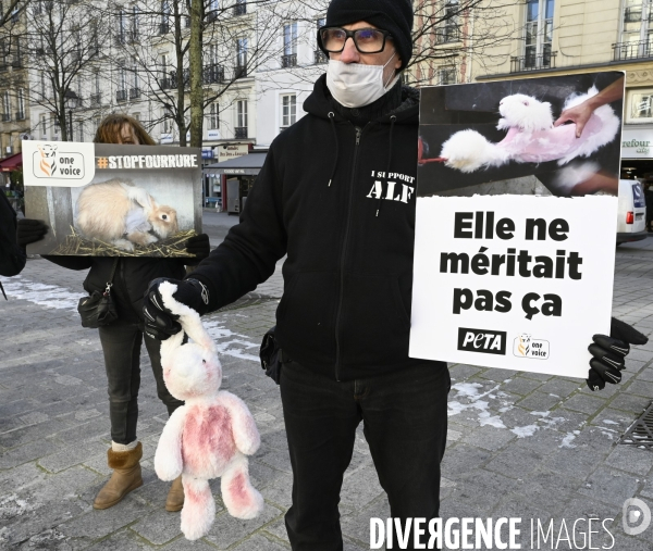 Protection Animal : action contre la fourrure et l exploitaion des animauxpour leur peau. ONE VOICE, PETA, PARTI ANIMALISTE. Animal protection, action against fur.