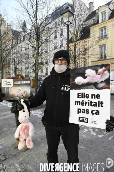 Protection Animal : action contre la fourrure et l exploitaion des animauxpour leur peau. ONE VOICE, PETA, PARTI ANIMALISTE. Animal protection, action against fur.