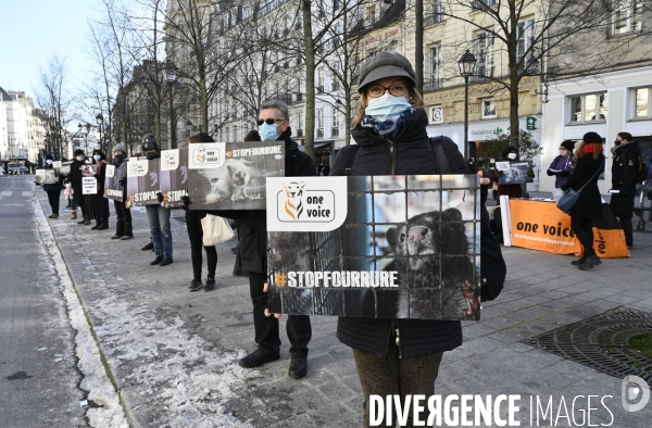 Protection Animal : action contre la fourrure et l exploitaion des animauxpour leur peau. ONE VOICE, PETA, PARTI ANIMALISTE. Animal protection, action against fur.