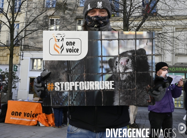 Protection Animal : action contre la fourrure et l exploitaion des animauxpour leur peau. ONE VOICE, PETA, PARTI ANIMALISTE. Animal protection, action against fur.