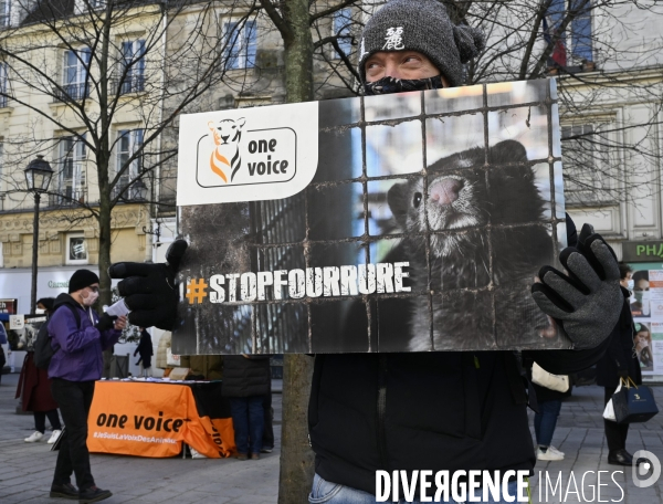 Protection Animal : action contre la fourrure et l exploitaion des animauxpour leur peau. ONE VOICE, PETA, PARTI ANIMALISTE. Animal protection, action against fur.