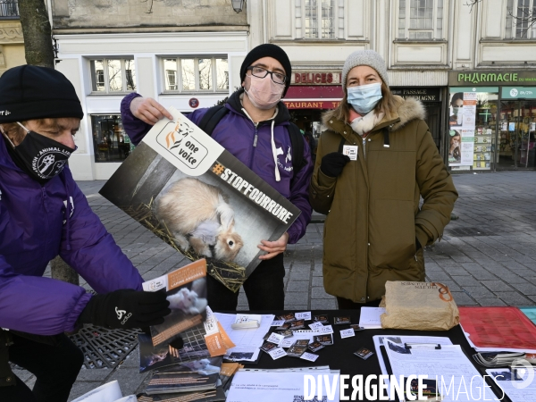 Protection Animal : action contre la fourrure et l exploitaion des animauxpour leur peau. ONE VOICE, PETA, PARTI ANIMALISTE. Animal protection, action against fur.