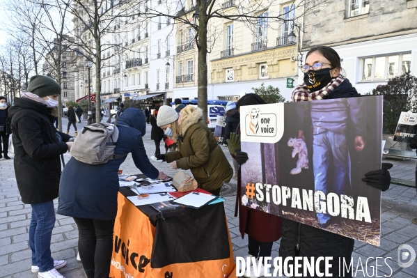 Protection Animal : action contre la fourrure et l exploitaion des animauxpour leur peau. ONE VOICE, PETA, PARTI ANIMALISTE. Animal protection, action against fur.