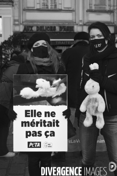 Protection Animal : action contre la fourrure et l exploitaion des animauxpour leur peau. ONE VOICE, PETA, PARTI ANIMALISTE. Animal protection, action against fur.