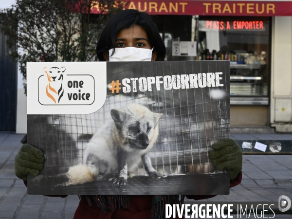 Protection Animal : action contre la fourrure et l exploitaion des animauxpour leur peau. ONE VOICE, PETA, PARTI ANIMALISTE. Animal protection, action against fur.