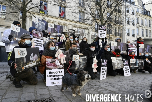 Protection Animal : action contre la fourrure et l exploitaion des animauxpour leur peau. ONE VOICE, PETA, PARTI ANIMALISTE. Animal protection, action against fur.