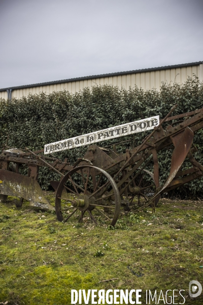 Artisanat de la zad du triangle de gonesse