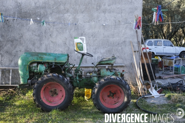 Produits ROUNDUP de Monsanto