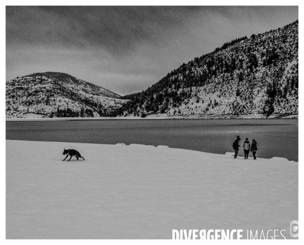 Le long de la Transbassealpine Digne-Nice Hiver 2021