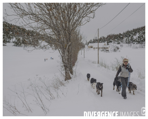 Le long de la Transbassealpine Digne-Nice Hiver 2021