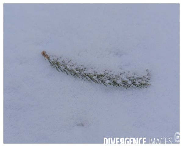 Le long de la Transbassealpine Digne-Nice Hiver 2021