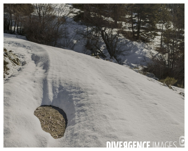 Le long de la Transbassealpine Digne-Nice Hiver 2021