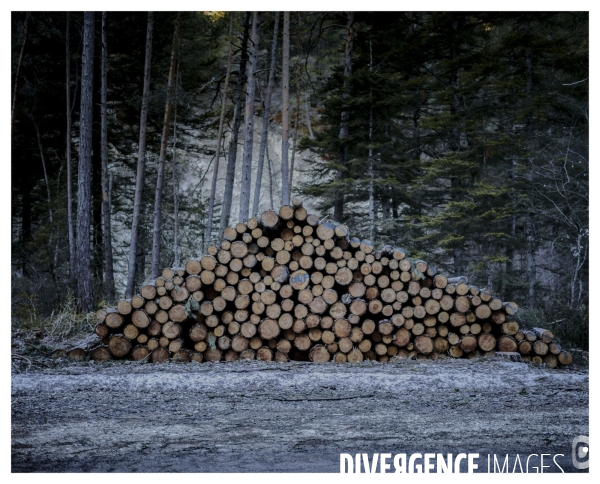 Le long de la Transbassealpine Digne-Nice Hiver 2021