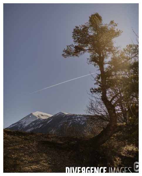 Le long de la Transbassealpine Digne-Nice Hiver 2021