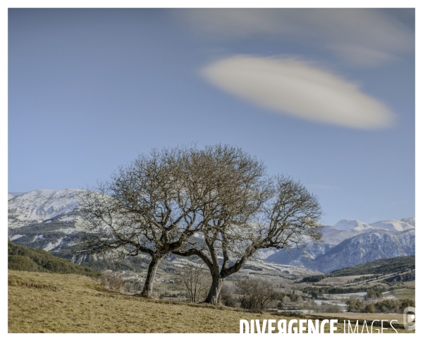 Le long de la Transbassealpine Digne-Nice Hiver 2021