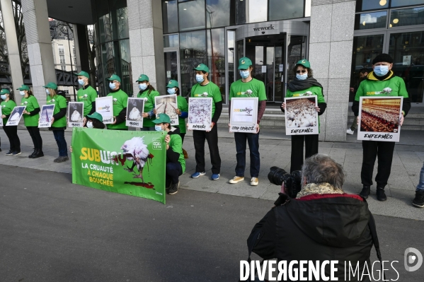 Cause animale : Action nationale L214 devant le siège de SUBWAY pour dénoncer les conditions d elevage des poulets de chair. Animals rights, chickens.