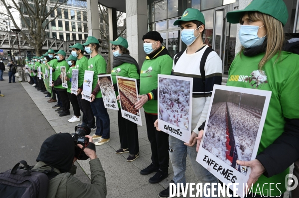 Cause animale : Action nationale L214 devant le siège de SUBWAY pour dénoncer les conditions d elevage des poulets de chair. Animals rights, chickens.