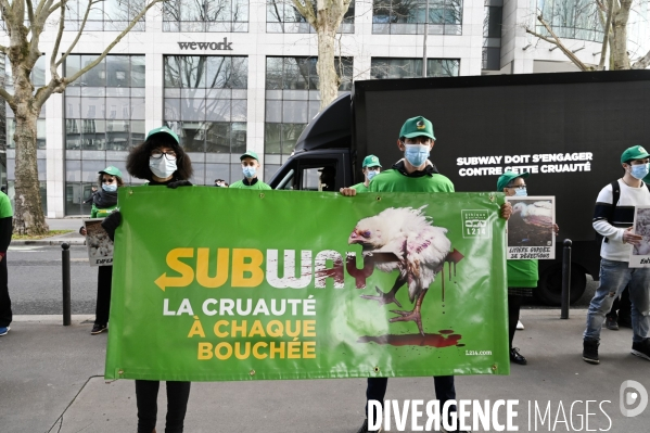 Cause animale : Action nationale L214 devant le siège de SUBWAY pour dénoncer les conditions d elevage des poulets de chair. Animals rights, chickens.