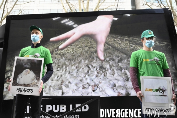 Cause animale : Action nationale L214 devant le siège de SUBWAY pour dénoncer les conditions d elevage des poulets de chair. Animals rights, chickens.