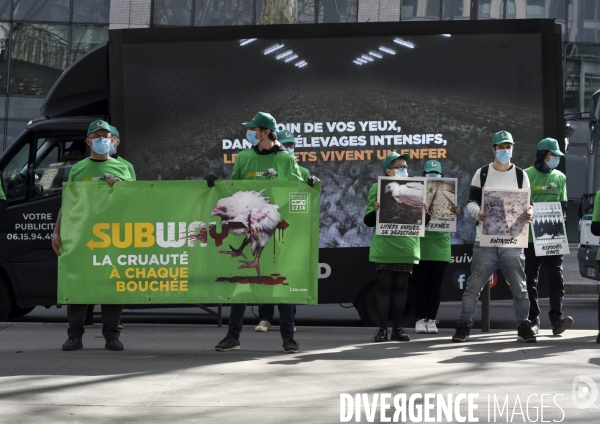 Cause animale : Action nationale L214 devant le siège de SUBWAY pour dénoncer les conditions d elevage des poulets de chair. Animals rights, chickens.