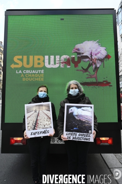 Cause animale : Action nationale L214 devant le siège de SUBWAY pour dénoncer les conditions d elevage des poulets de chair. Animals rights, chickens.