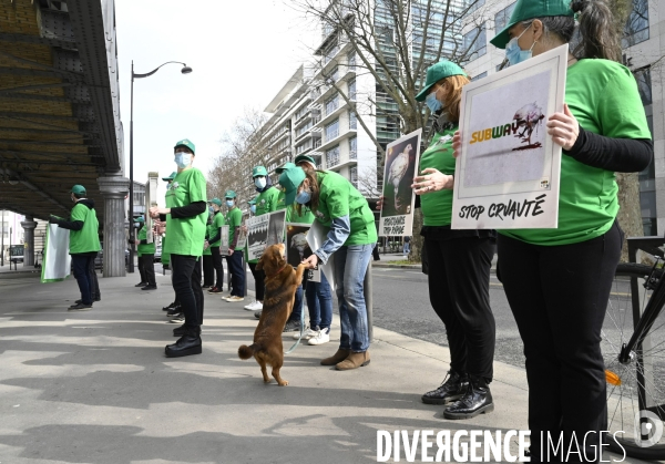 Cause animale : Action nationale L214 devant le siège de SUBWAY pour dénoncer les conditions d elevage des poulets de chair. Animals rights, chickens.