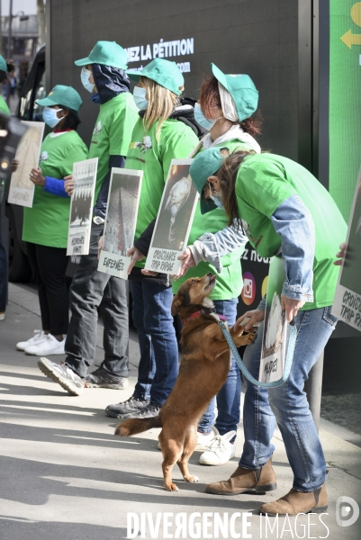Cause animale : Action nationale L214 devant le siège de SUBWAY pour dénoncer les conditions d elevage des poulets de chair. Animals rights, chickens.